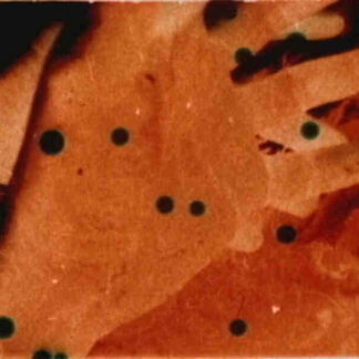 Hardwood Process (1996) with English Subtitles on DVD