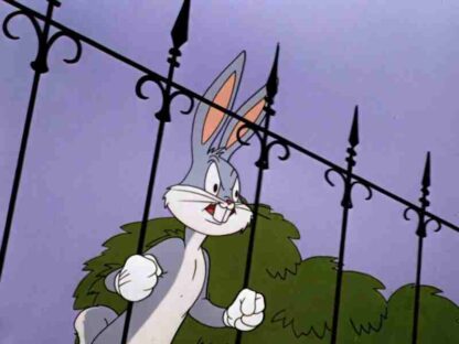 Hare Trimmed (1953) Starring Mel Blanc on DVD - Image 3