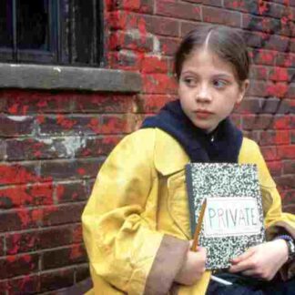Harriet the Spy (1996) Starring Michelle Trachtenberg on DVD