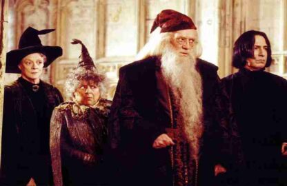 Harry Potter and the Chamber of Secrets (2002) Starring Daniel Radcliffe on DVD - Image 2