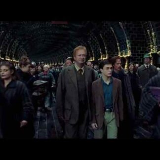 Harry Potter and the Order of the Phoenix (2007) Starring Daniel Radcliffe on DVD