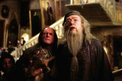Harry Potter and the Prisoner of Azkaban (2004) Starring Daniel Radcliffe on DVD - Image 2