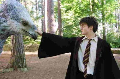 Harry Potter and the Prisoner of Azkaban (2004) Starring Daniel Radcliffe on DVD - Image 4