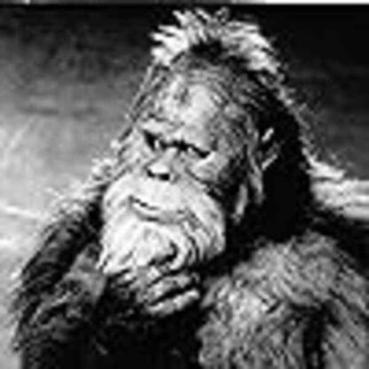 Harry and the Hendersons (1987) Starring John Lithgow on DVD - Image 3