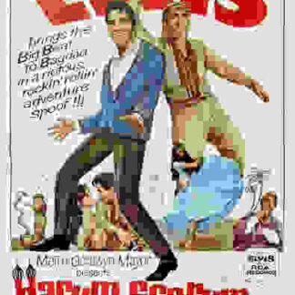 Harum Scarum (1965) Starring Elvis Presley on DVD