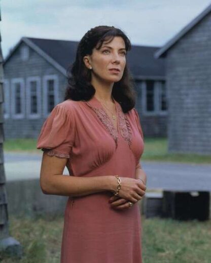 Haven (2001) Starring Natasha Richardson on DVD - Image 3