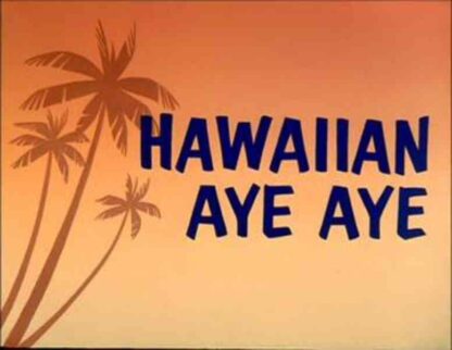 Hawaiian Aye Aye (1964) Starring Mel Blanc on DVD - Image 3