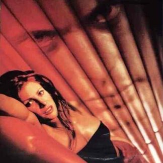 Heart of Stone (2001) Starring Angie Everhart on DVD