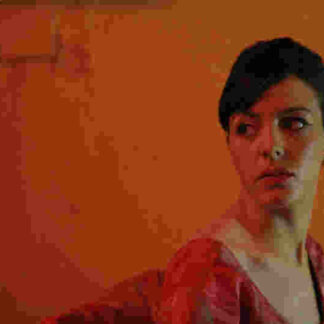 Heartbeats (2010) with English Subtitles on DVD