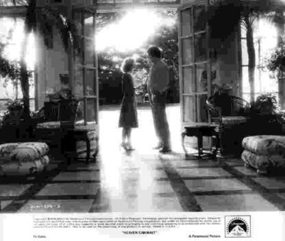 Heaven Can Wait (1978) Starring Warren Beatty on DVD - Image 2