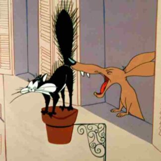 Heaven Scent (1956) Starring Mel Blanc on DVD