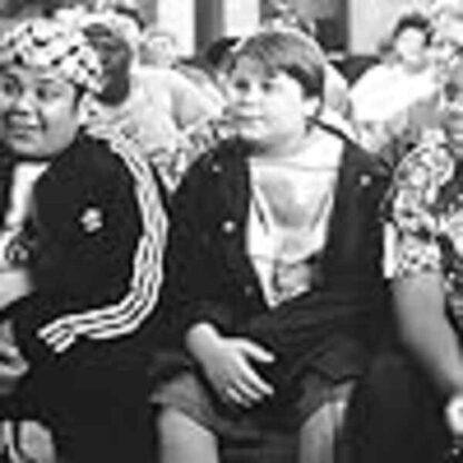 Heavyweights (1995) Starring David Goldman on DVD - Image 2