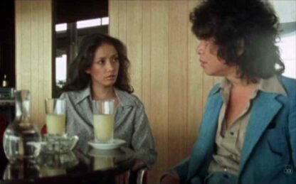 Hensôkyoku (1976) with English Subtitles on DVD