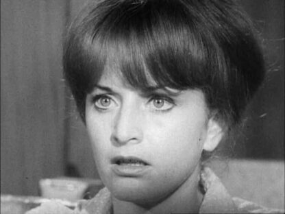 Her Name Was Ellie, His Name Was Lyle (1967) Starring John Pleshette on DVD - Image 2