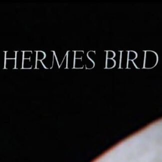 Hermes Bird (1979) Starring James Broughton on DVD