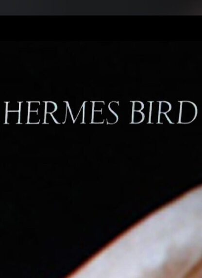 Hermes Bird (1979) Starring James Broughton on DVD - Image 2