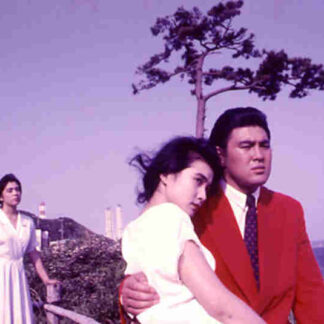 Hikaru onna (1987) with English Subtitles on DVD