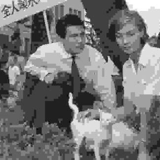 Hiroshima Mon Amour (1959) with English Subtitles on DVD