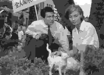 Hiroshima Mon Amour (1959) with English Subtitles on DVD
