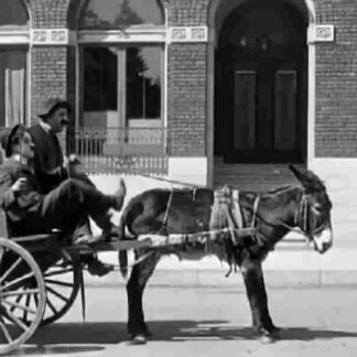 His Musical Career (1914) with English Subtitles on DVD