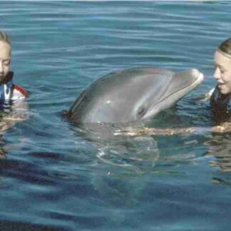 Holiday in the Sun (2001) Starring Mary-Kate Olsen on DVD