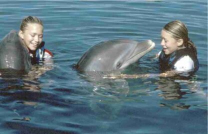 Holiday in the Sun (2001) Starring Mary-Kate Olsen on DVD
