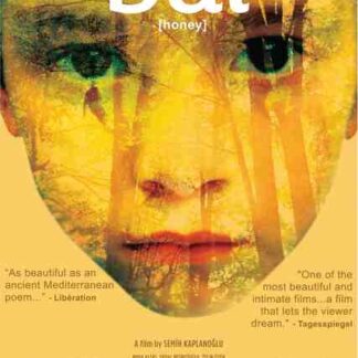 Honey (2010) with English Subtitles on DVD