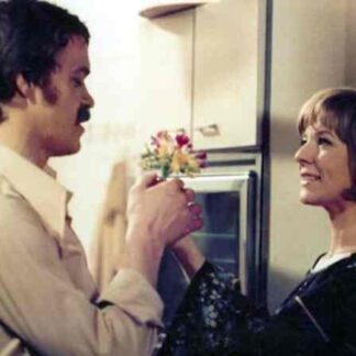 Hostess (1976) with English Subtitles on DVD