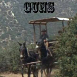 Hostile Guns (1967) Starring George Montgomery on DVD