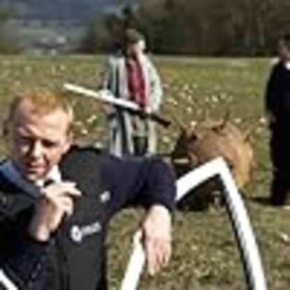 Hot Fuzz (2007) Starring Simon Pegg on DVD - Image 4