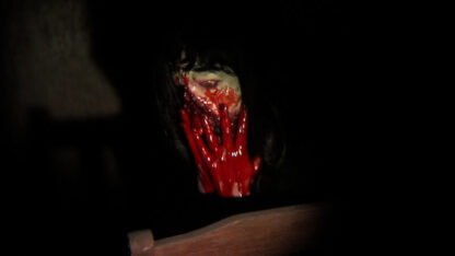House of Flesh Mannequins (2009) Starring Domiziano Arcangeli on DVD - Image 3