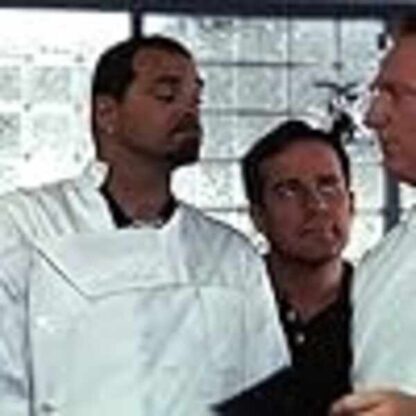 Houseguest (1995) Starring Sinbad on DVD - Image 3