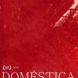 Housemaids (2012) with English Subtitles on DVD