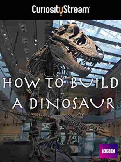 How to Build a Dinosaur (2011) Starring Alice Roberts on DVD - Image 2