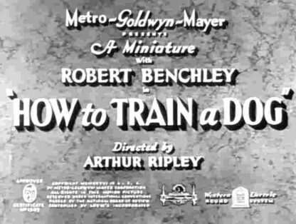 How to Train a Dog (1936) Starring  on DVD