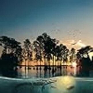 Hurricane on the Bayou (2006) Starring Bear Badeaux on DVD