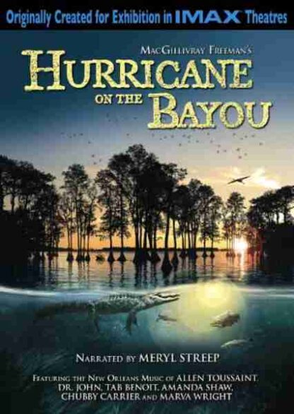 Hurricane on the Bayou (2006) Starring Bear Badeaux on DVD - Image 2