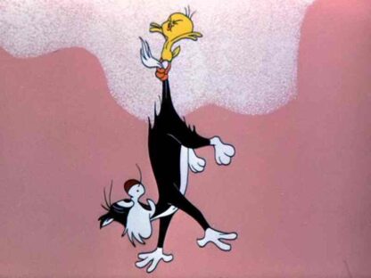 Hyde and Go Tweet (1960) Starring Mel Blanc on DVD - Image 3
