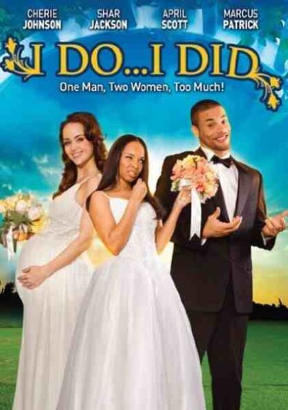 I Do... I Did! (2009) Starring Cherie Johnson on DVD - Image 2