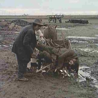 I Even Met Happy Gypsies (1967) with English Subtitles on DVD