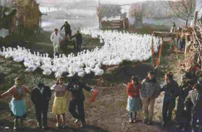 I Even Met Happy Gypsies (1967) with English Subtitles on DVD - Image 4