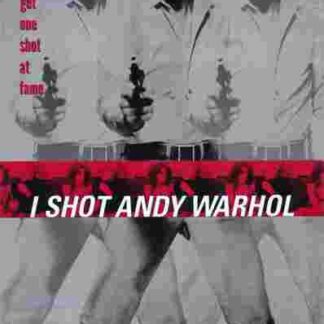 I Shot Andy Warhol (1996) Starring Lili Taylor on DVD