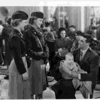 I Was a Male War Bride (1949) Starring Cary Grant on DVD