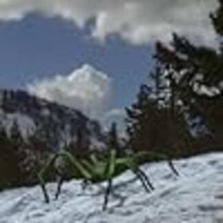 Ice Spiders (2007) Starring Patrick Muldoon on DVD