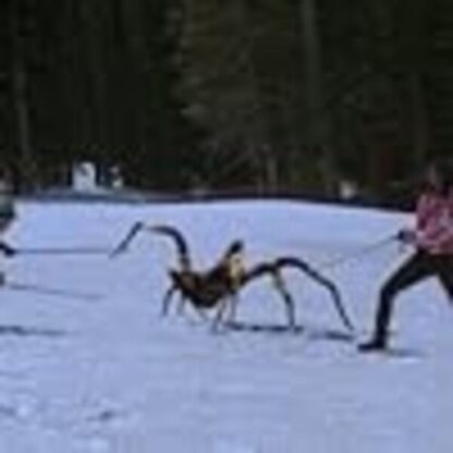 Ice Spiders (2007) Starring Patrick Muldoon on DVD - Image 3