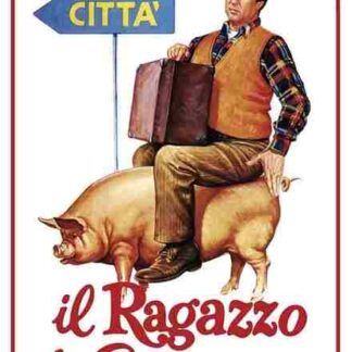 Il ragazzo di campagna (1984) with English Subtitles on DVD