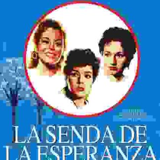 Il viale della speranza (1953) with English Subtitles on DVD