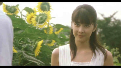 Ima, ai ni yukimasu (2004) with English Subtitles on DVD - Image 3