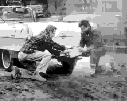 In Cold Blood (1967) Starring Robert Blake on DVD - Image 2