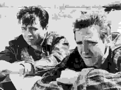 In Cold Blood (1967) Starring Robert Blake on DVD - Image 3